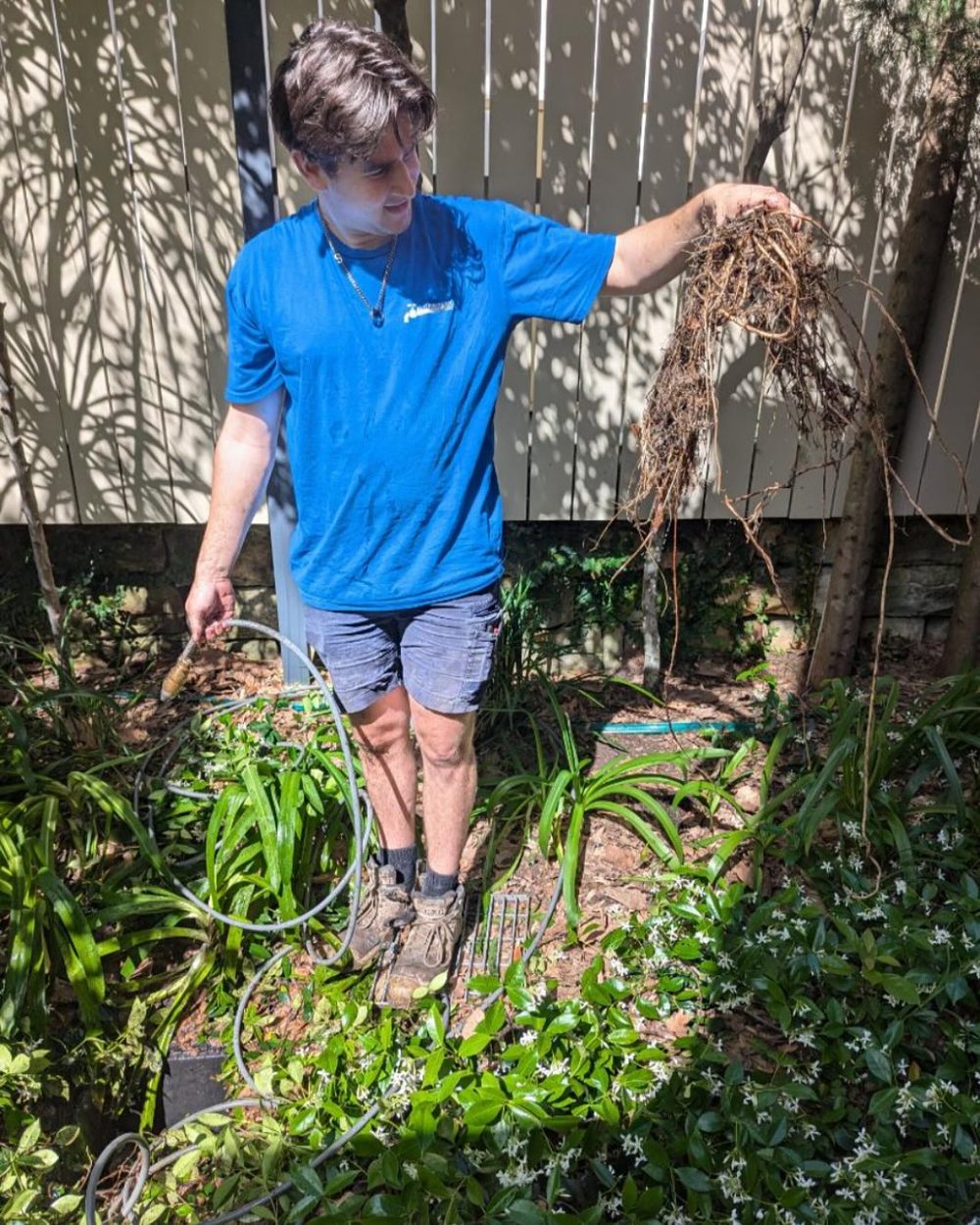 Blocked Drain Specialists — Anthony Farac Plumbing, Lane Cove